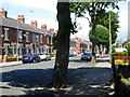 Denton Street, Denton Holme