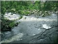 Confluence of Twrch and Llynfell