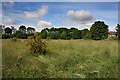 Stanley Road Playing Fields