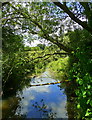 The Emm Brook - view downstream