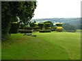 Topiary at Alston Hall