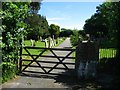 Mayfield cemetery