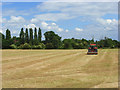 Farmland, Bisham