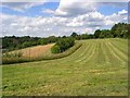 Farmland, Cookham