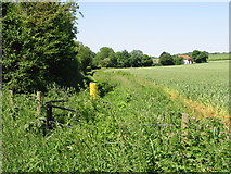 TR1743 : Footpath to Duck Street, Elham by Nick Smith
