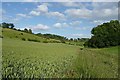 Farmland at Bottom Shaw