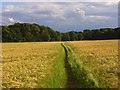 Footpath, Cookham