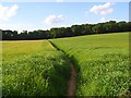 Footpath, Cookham