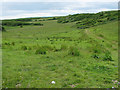 R2596 : Gently sloping Burren grassy valley by C Michael Hogan
