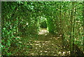 Footpath across Ightham Common