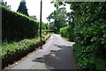 A country lane near Ivy Hatch