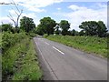 Road at Knockans