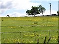 Knockans Townland