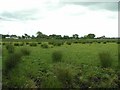 Burnquarter Townland