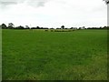 Ushinagh Townland