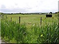 Caldanagh Townland