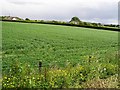 Drumdarragh Townland