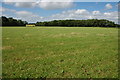 ST8490 : Field next to Westonbirt by Philip Halling