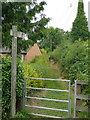 Footpath in Gorsley Common