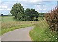 Lane corner and countryside near Dallinghoo