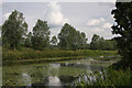 River Stour at Baker