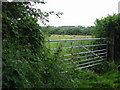 Gateway at the edge of Knowlhill Carvett