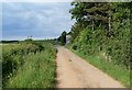 Blackberry Lane near Sileby, Leicestershire