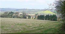 TQ5139 : View towards Chafford Park by Jonathan Billinger