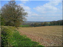 TQ5139 : View north of the A264 by Jonathan Billinger