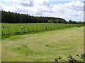 Kilmore Townland