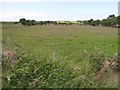 Magheracashel Townland