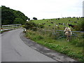 Moormains Bridge