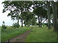 Public Footpath Through The Rookeries