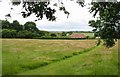 View across field to Ringleton Manor