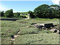 Ruins of the 1909 bridge