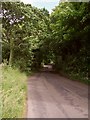 Minor road entering Hafodheulog Wood