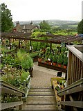 SE1921 : Whiteley's garden centre by Steve  Fareham