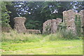 TM3082 : Minster ruins, South Elmham by Andrew Hill
