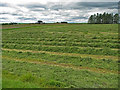 Furrowed field south of Fluffsfield Donkey Sanctuary