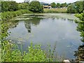 Fishing Pond, Central Park