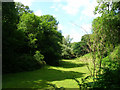 Pasture near Ash House