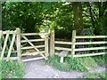 Kissing gate and stile, Dinton Park