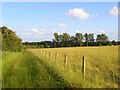 Meadow and bridleway, Bainton