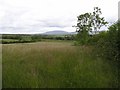 Pharis Townland