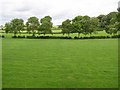 Lavin Upper Townland