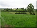 Drumadarragh Townland