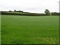 Lavin Lower Townland