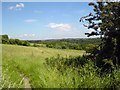 Farmland by the Kirklees Way