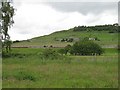 Looking across the Weardale Railway, Eastgate