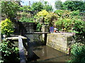 Waterwheel Remains